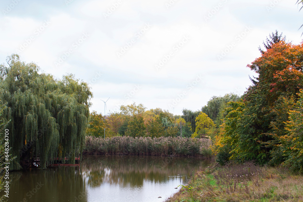 Autumn landscape in a city park, autumn in Moldova.