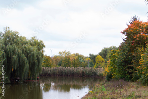 Obraz na płótnie Autumn landscape in a city park, autumn in Moldova. w salonie