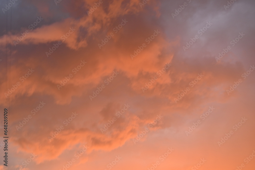 Obraz premium evening sunset, rays of the sun through cirrus pink clouds against the background of the sunset sky, 