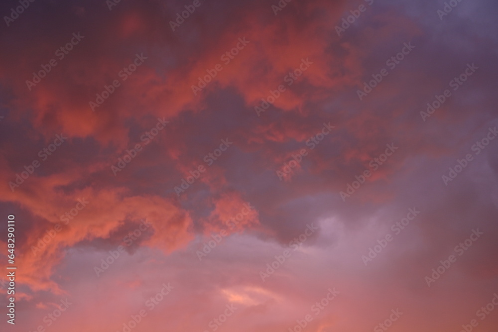 pink blue rainy clouds against the background of the winter sky illuminated by the rays of the sun, evening sunset, rays of the sun through cirrus pink clouds against the background of the sunset sky,