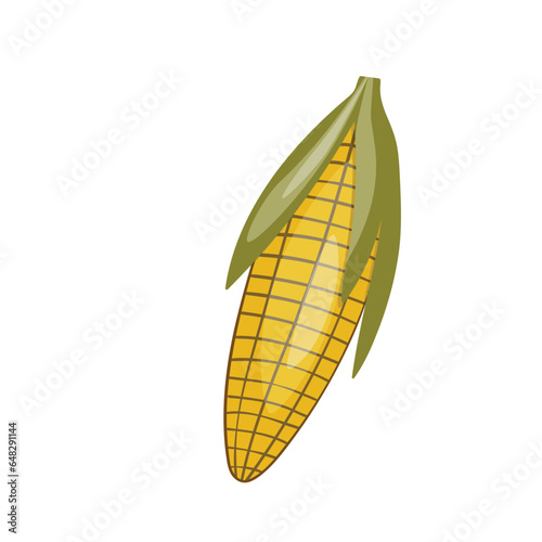 Sweet golden corn isolated on white background. Summer farm design elements. Natural fresh bright tasty bunch of corn. Template vector illustration for packaging, card and other designs. Food concept.