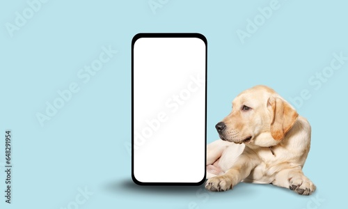 Cute happy puppy dog with big smartphone