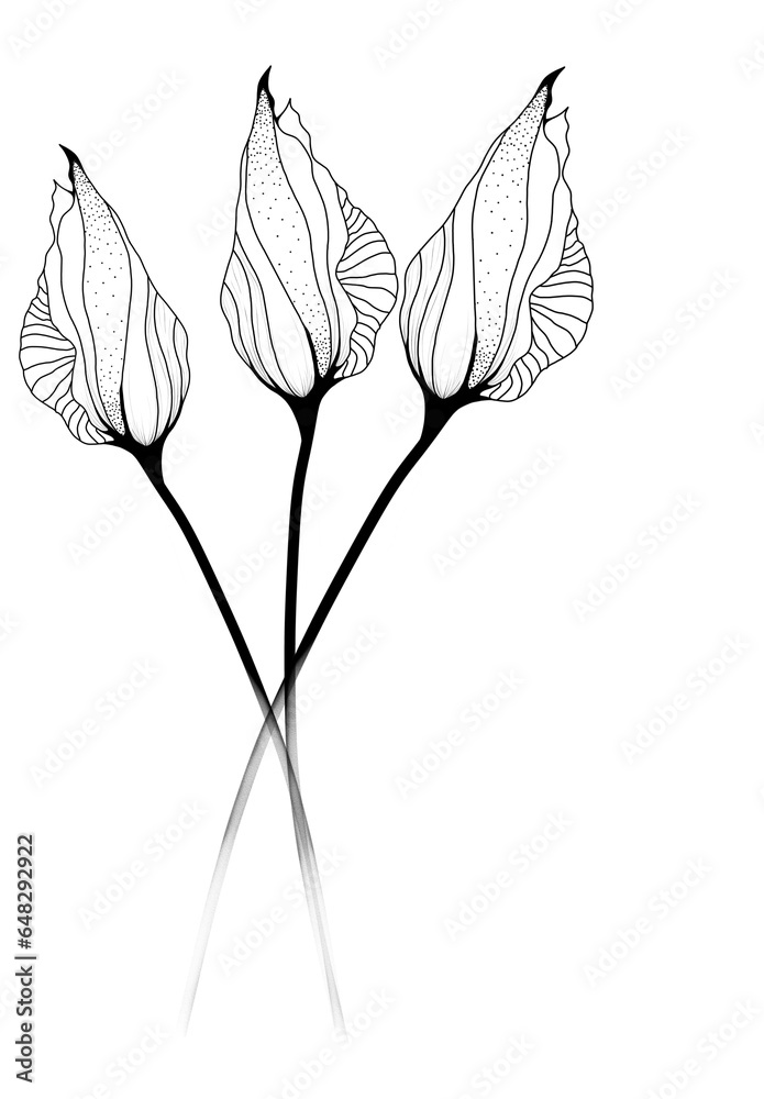 black and white silhouette of a flower
