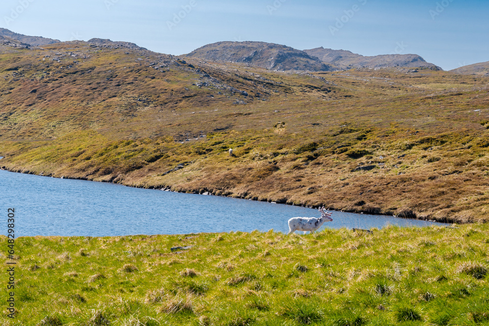 Honningsvåg ist eine Stadt in der norwegischen Kommune Nordkapp Honningsvåg ist eine Stadt in der norwegischen Kommune Nordkapp