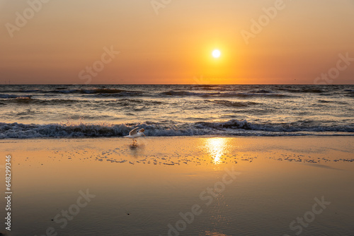 Sonnenspiel am Meer © Thorsten