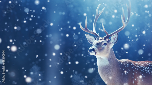 deer in the snow © ashar