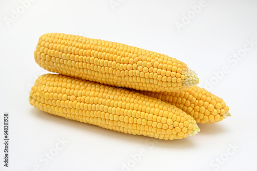 three heads of ripe raw corn on a white background