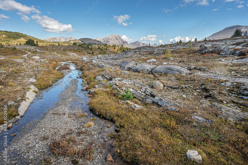 A small stream in the high alpine of Sunshine Meadows in Banff National Park, Alberta, Canada A small stream in the high alpine of Sunshine Meadows in Banff National Park, Alberta, Canada