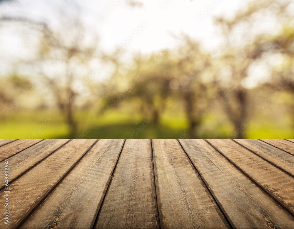 Empty blank wood table on nature background. Empty blank wood table on nature background.