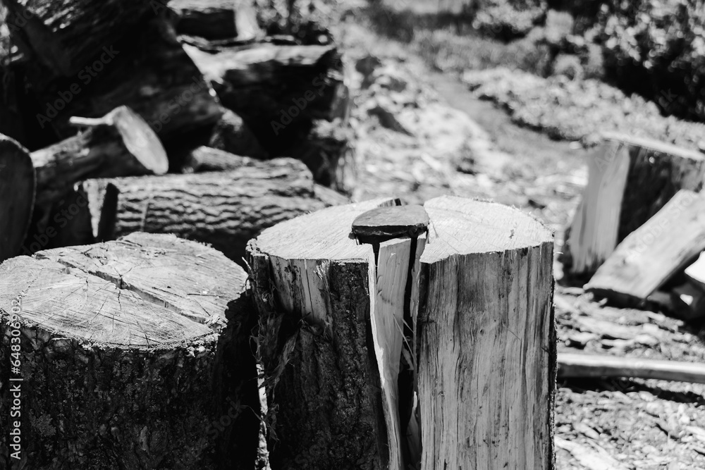 Woodcutter's work. The axe tool. Harvesting firewood charcoal in the village. Logs and timber on the ground in the countryside. Black and white. vintage retro. Woodcutter's work. The axe tool. Harvesting firewood charcoal in the village. Logs and timber on the ground in the countryside. Black and white. vintage retro.
