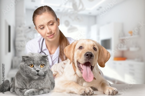 Vet doctor with dog and cat in clinic, AI generated image