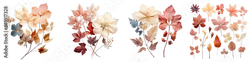 Png Set Isolated elements of dried viburnum leaves transparent background
