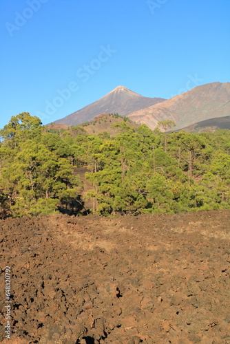 Paisaje volcanico con El Teide y El Chinyero, Tenerife Islas Canarias