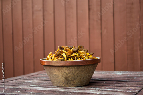 Stoneware bowl with fresh picked funnel chanterelles in fall.
