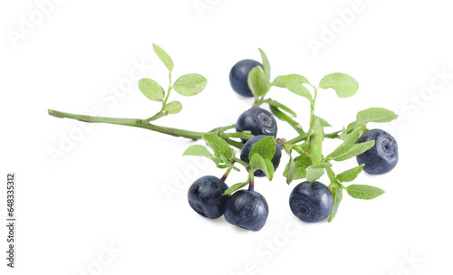 Branch with ripe bilberries and green leaves isolated on white