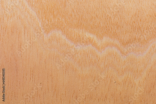 Light rough textured cut surface of an African tree. Wood background or blank for design photo