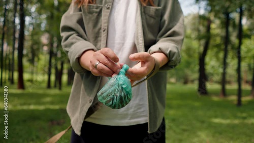 close up Woman picking up dog poop  from the lawn in a city park A woman is holding a blue plastic bag with pet excrement environmental protection