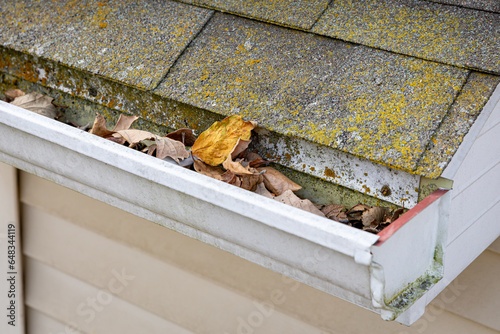 Roof gutter with mold and mildew and full of leaves. Roof damage, home maintenance and gutter cleaning concept.