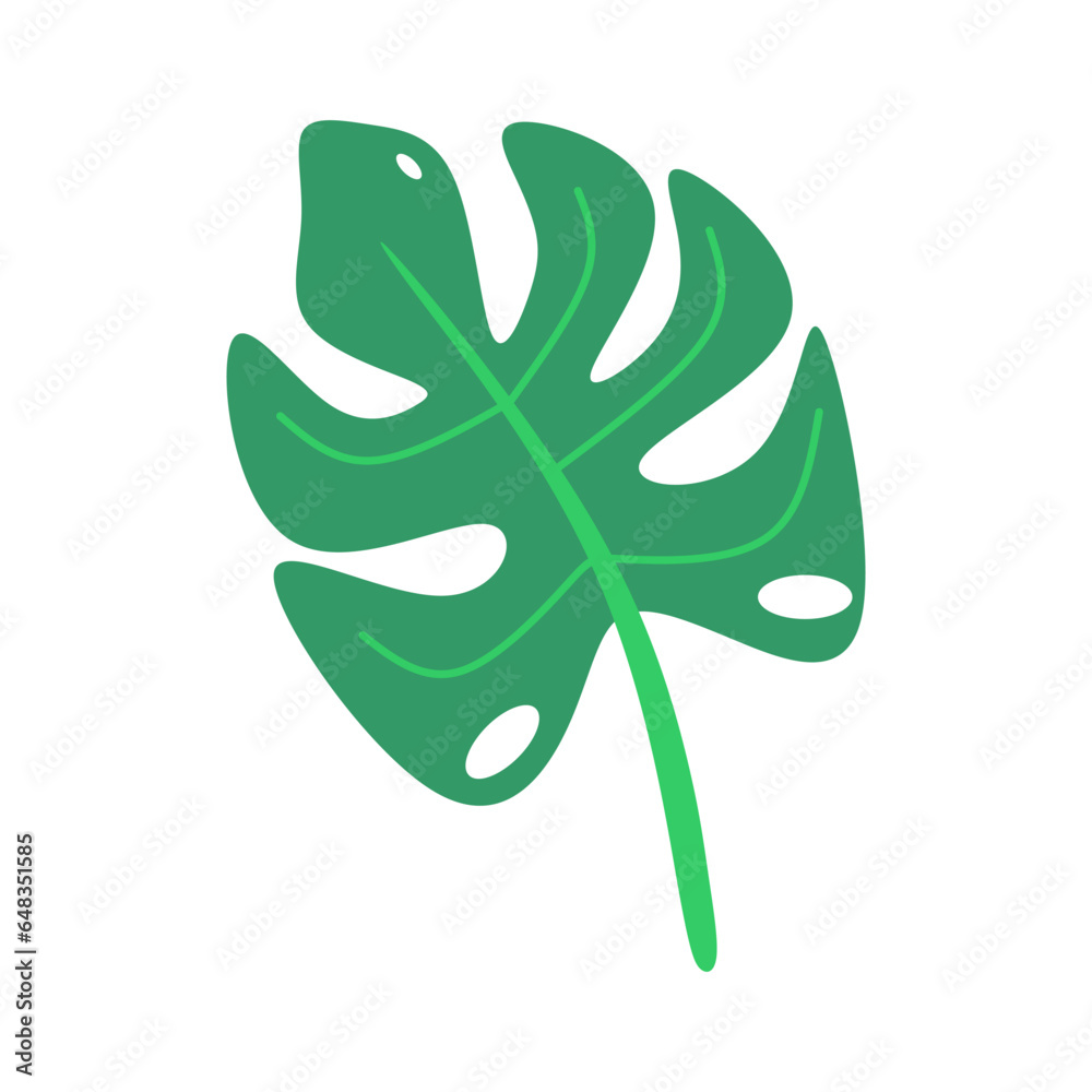 Green modern monstera leaf vector element Green modern monstera leaf vector element