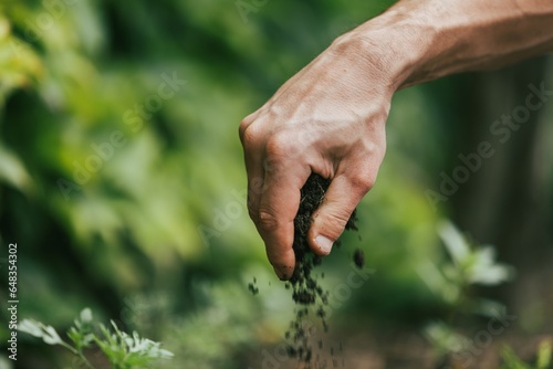Farmer checks soil. Organic gardening concept. © BillionPhotos.com