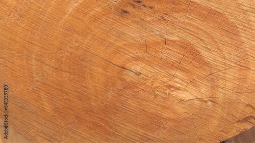 Wooden texture of light wood with grain and annual rings.