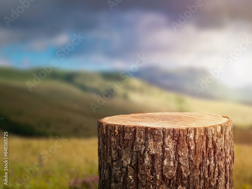 Wood Podium for products on natural background with sunlight
