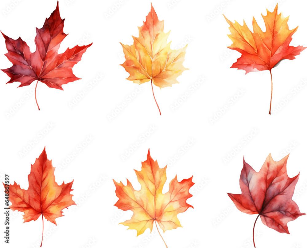 autumn leaves watercolor set, Set of autumn maple leaves