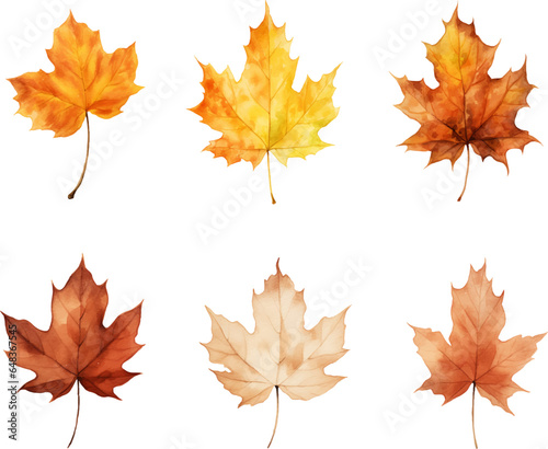 autumn leaves watercolor set, Set of autumn maple leaves