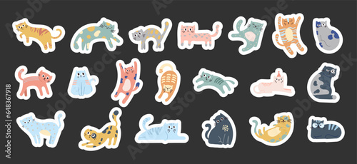 Fototapeta Naklejka Na Ścianę i Meble -  Cute funny cat. Sticker Bookmark. Kitten character cartoon. Vector drawing. Collection of design elements.