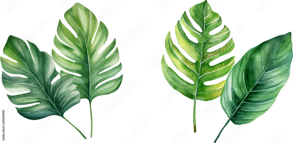 Fototapeta premium Set of tropical watercolor leaves, Exotic plants, palm leaves, monstera on an isolated white background