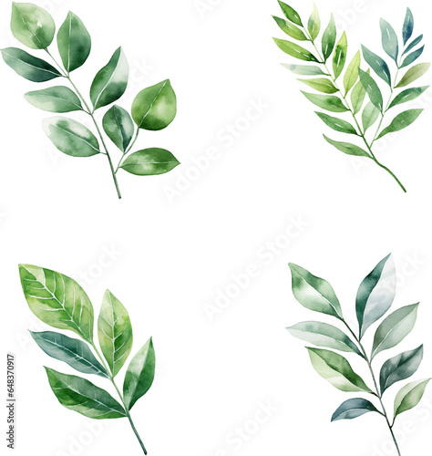 Set of watercolor green leaves branch elements, for Wedding Invitation, save the date, thank you, or greeting card