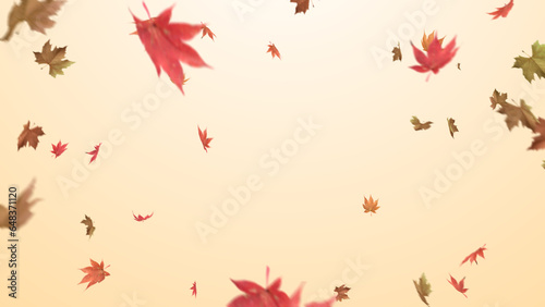Autumn maple leaves falling on yellow background.