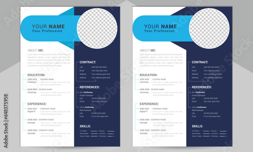 Professional & Modern Curriculum Vitae (CV) Design template , vector file layout