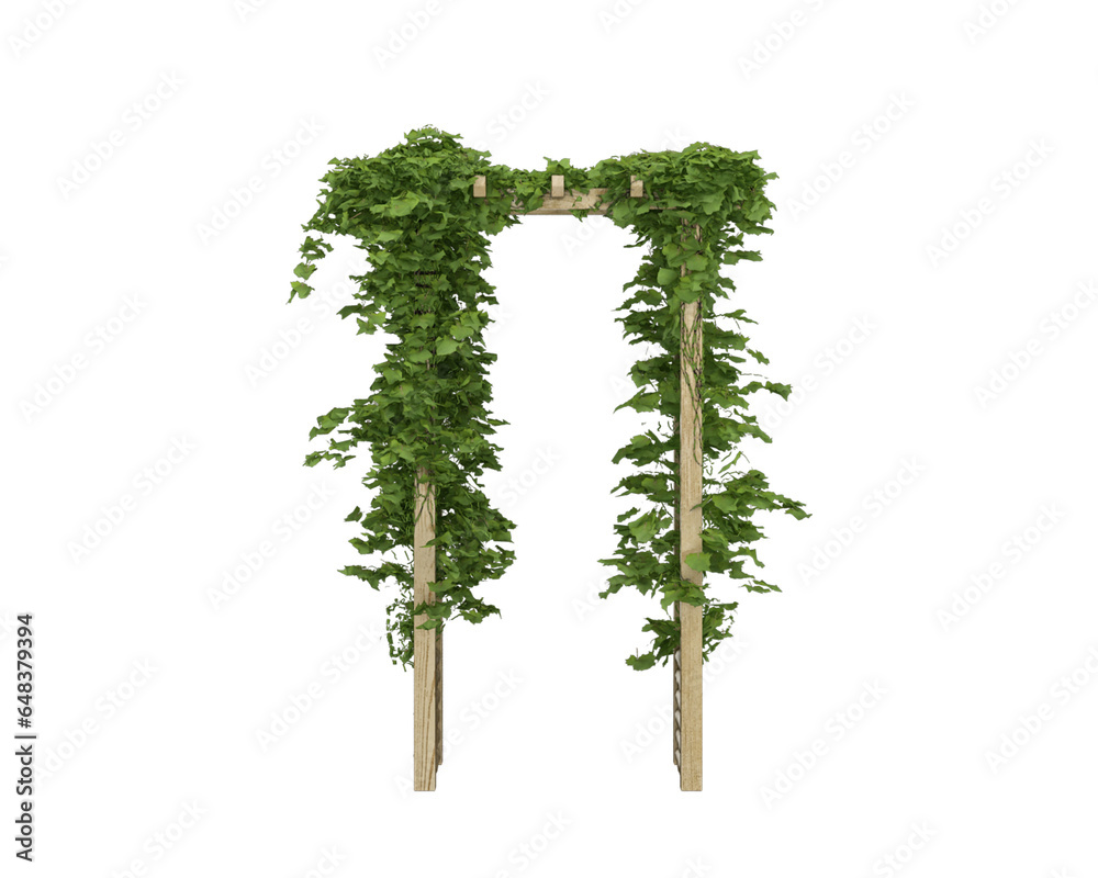 Fototapeta premium tree isolated on white
