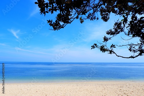 Fototapeta Naklejka Na Ścianę i Meble -  calm beach under a tree