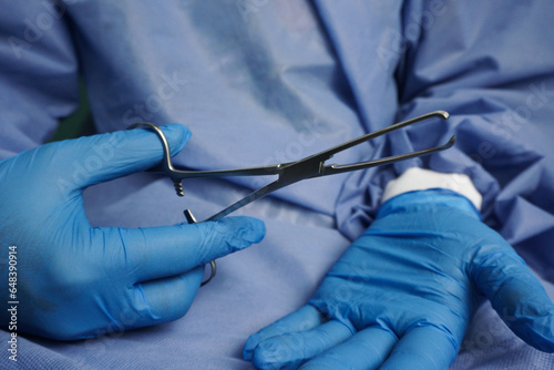 Doctor wearing blue medical gloves holding Allis Intestinal and Tissue grasping forceps, are serrated surgical forceps used for ligation and clamping of bleeding in uterus during surgery photo