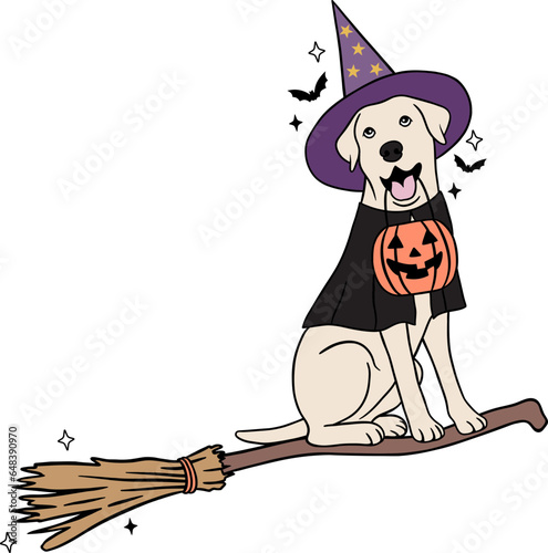 halloween witch dog with a broom