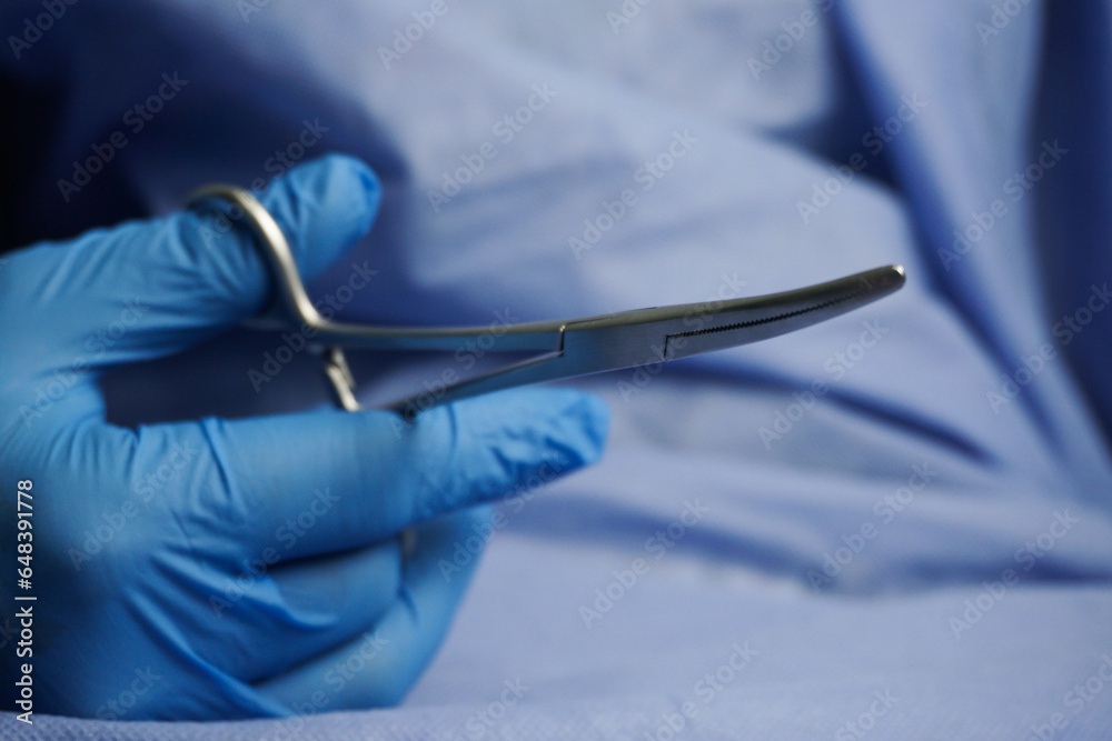 Doctor wearing blue medical gloves holding Allis Intestinal and Tissue
