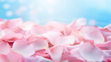 ?lose up photo, pink rose petals isolated on soft blue background