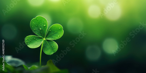 Four leaf clover with dewdrops on its leaves. Green blurred background