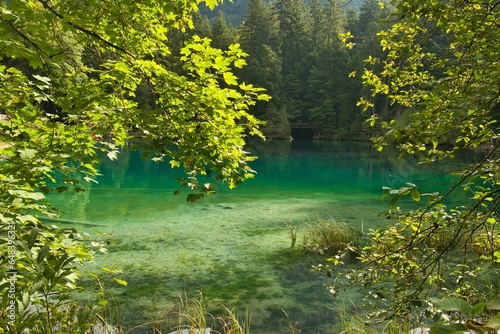 Fototapeta Naklejka Na Ścianę i Meble -  Wunderschöner Blausee in der Schweiz im Kandertal