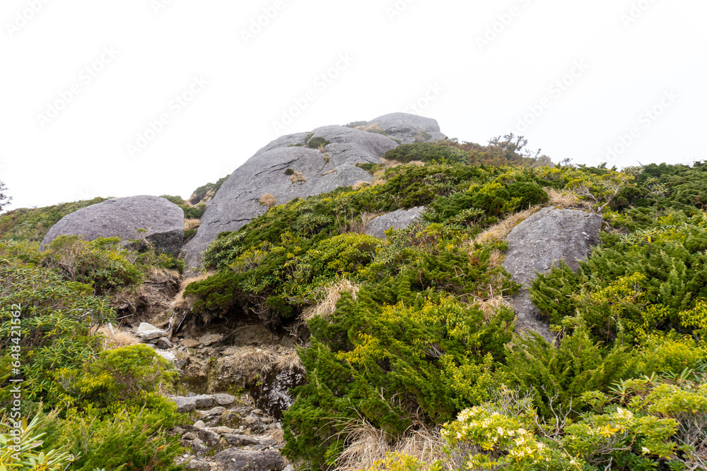 The view between Mt. Kuromi and Mt. Miyanoura in Yakushima The view between Mt. Kuromi and Mt. Miyanoura in Yakushima