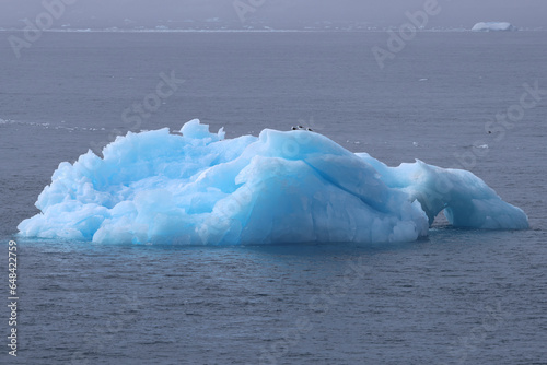 iceberg in polar regions