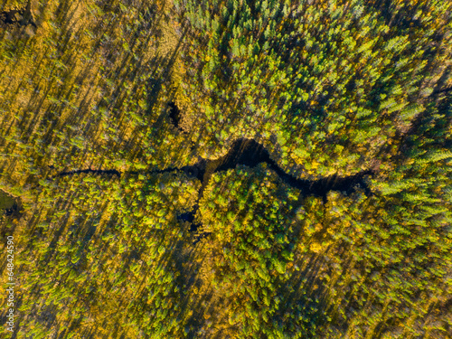 Fall time. A drone view of the river in the woods. An aerial view of an autumn forest. River among the trees. Landscape with soft light before sunset.