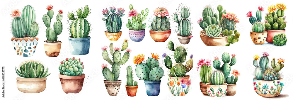 cactus flowers in pots in watercolor style cactus flowers in pots in watercolor style