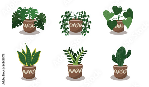 Hand drawn flat houseplant collection