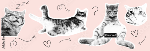 Cat, animal, pet from different angles, different poses,  halftone effect.. Vector illustration. Retro style, vintage, magazine clippings