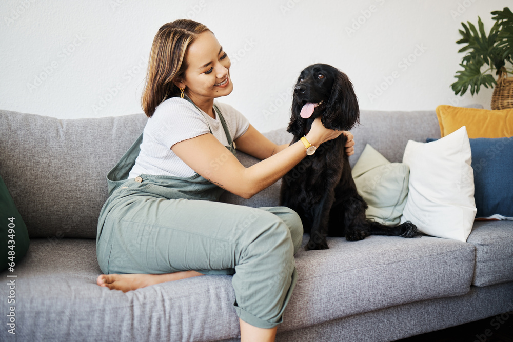 Care, love and woman with dog in home sofa to relax and play with animal. Pet owner, happy and asian person on floor with companion, smile and wellness or friendship and together in cozy apartment Care, love and woman with dog in home sofa to relax and play with animal. Pet owner, happy and asian person on floor with companion, smile and wellness or friendship and together in cozy apartment