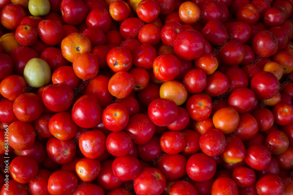 Fresh Red Tomatoes (Solanum lycopersicum) Fresh Red Tomatoes (Solanum lycopersicum)