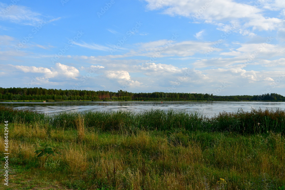 A view of a vast yet shallow lake covered from all sides with reeds, grass, herbs, and other flora spotted on a cloudy yet warm summer day on a Polish countryside during a hike A view of a vast yet shallow lake covered from all sides with reeds, grass, herbs, and other flora spotted on a cloudy yet warm summer day on a Polish countryside during a hike